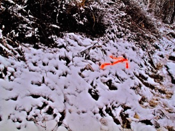  3/15 arrow pointing towards bodies of victims, Minami Sanriku 